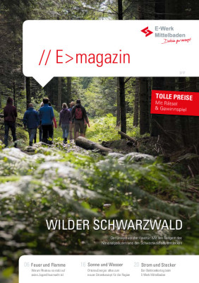 E-Magazin 3/17